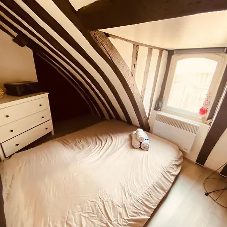 Queen's Palace- Superbe Logement Hypercentre - 242 Apartment Rouen