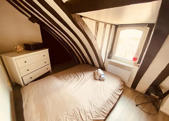 Queen's Palace- Superbe Logement Hypercentre - 242 Apartment Rouen