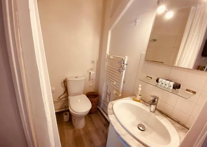 Queen's Palace- Superbe Logement Hypercentre - 242 Apartment *